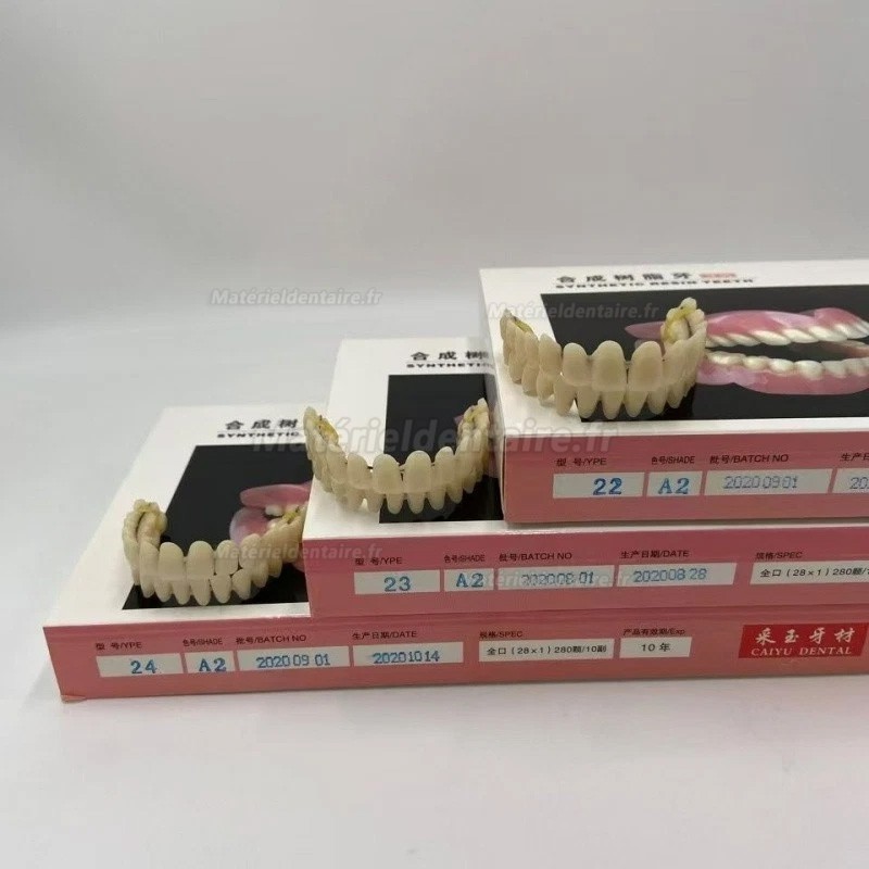 Prothèses dentaires en résine CAIYU (flexibles, bilatérales et symétriques) A1/A2/A3/A3.5/A4